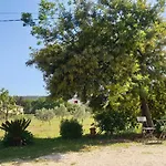 L\'Oliveraie